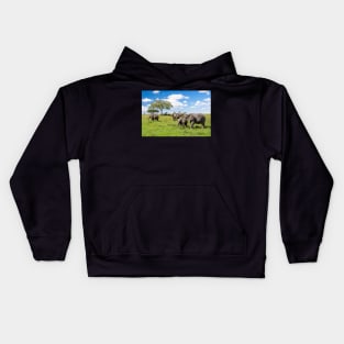 Elephant Herd In The Serengeti Landscape Kids Hoodie